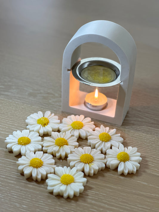 Daisy Wax Melts - Bergamot, Vanilla & Coconut